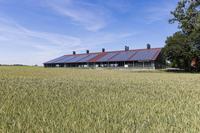 Boxenlaufstall Rheine