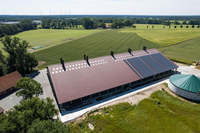 Boxenlaufstall Rheine