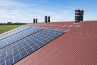 Boxenlaufstall Rheine