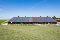 Boxenlaufstall Rheine