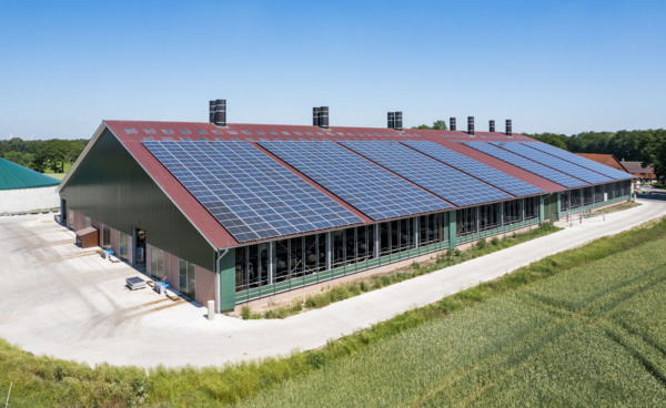 Boxenlaufstall Rheine