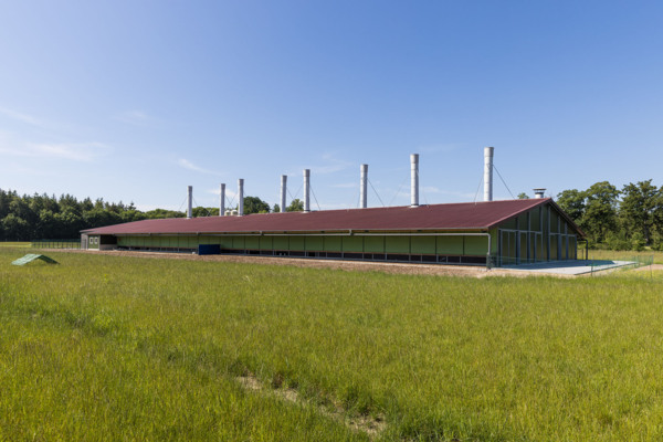 Legehennenstall Nordhorn