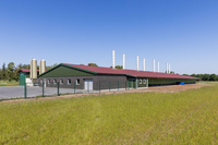 Legehennenstall Nordhorn