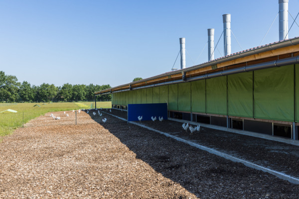 Legehennenstall Nordhorn