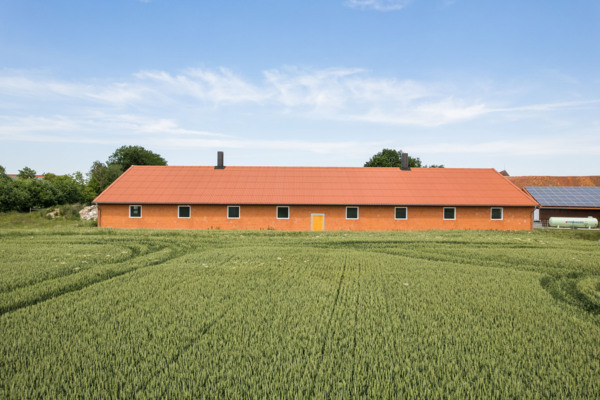 Schweinestall Münster