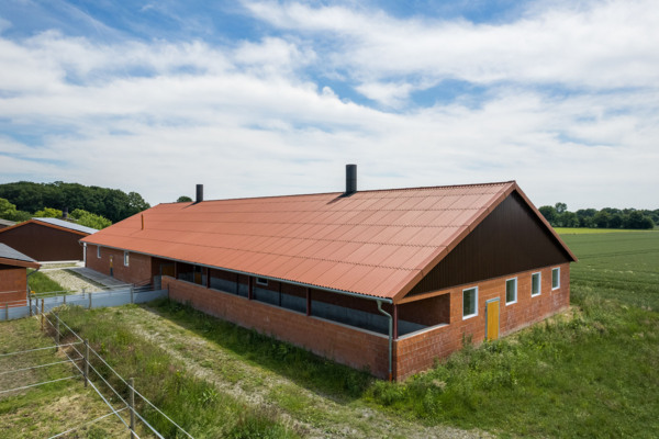 Schweinestall Münster