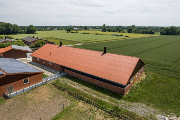 Schweinestall Münster