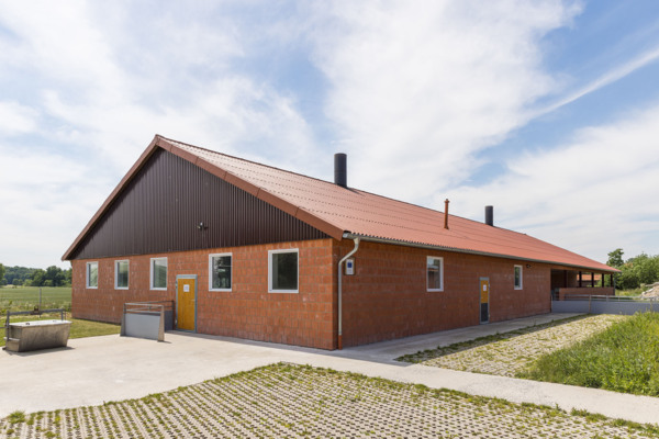 Schweinestall Münster