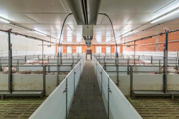 Schweinestall in Sendenhorst
