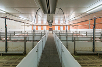 Schweinestall in Sendenhorst