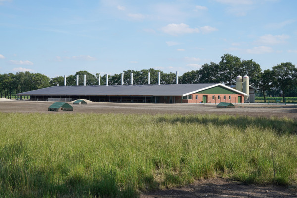 Legehennenstall Lönink Nordhorn