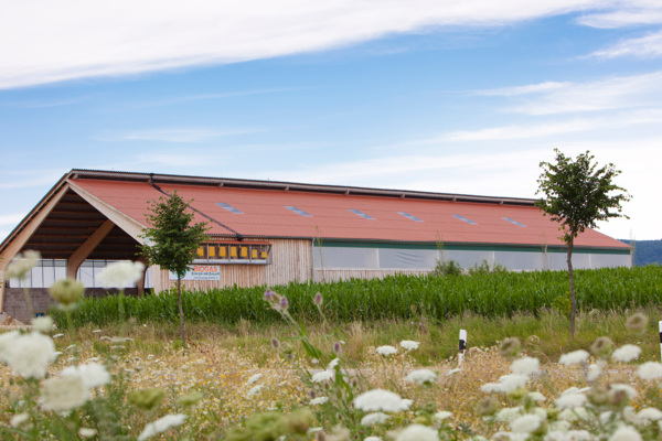 Maschinenhalle Meinheim