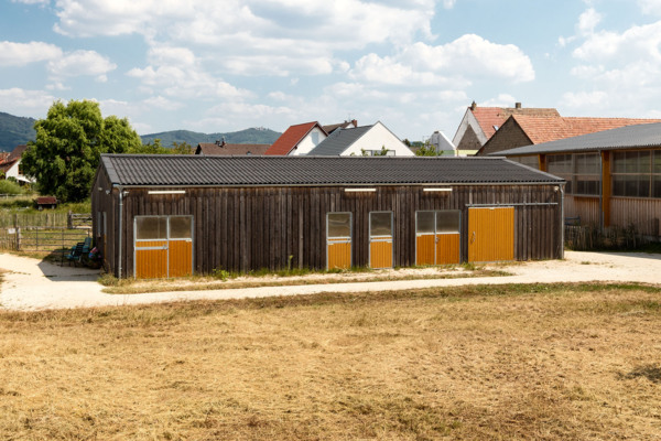 Reithalle Sonnenkinder