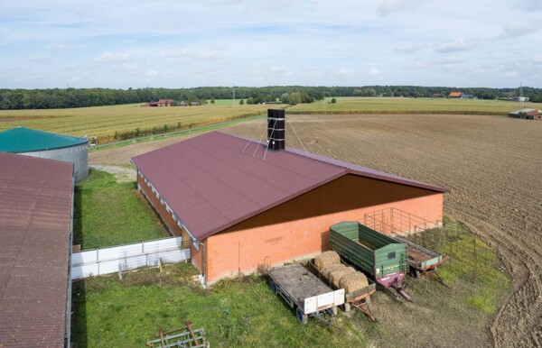 Schweinestall in Hamm