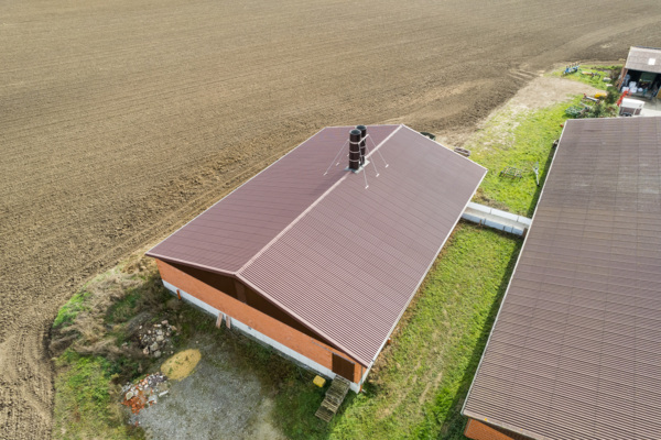 Schweinestall in Hamm