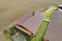 Schweinestall in Hamm