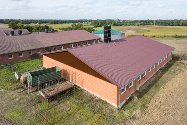 Schweinestall in Hamm