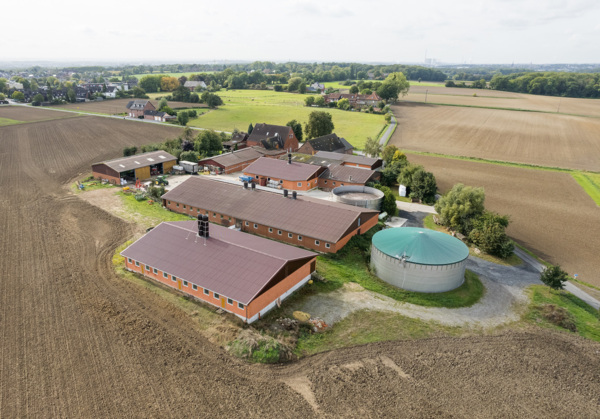 Schweinestall in Hamm