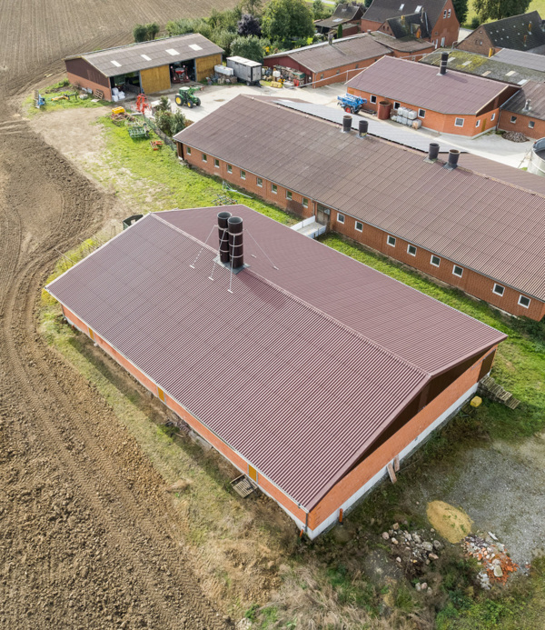 Schweinestall in Hamm