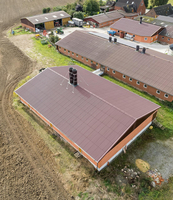 Schweinestall in Hamm