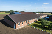 Schweinestall in Sendenhorst