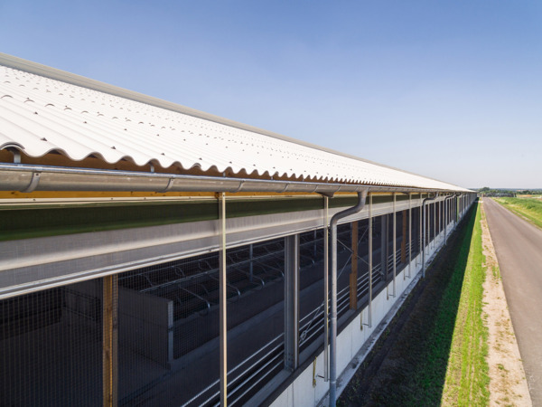Stallanlage Wiesenau