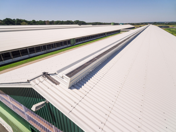 Stallanlage Wiesenau