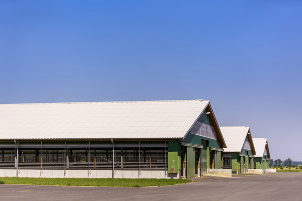 Stallanlage Wiesenau