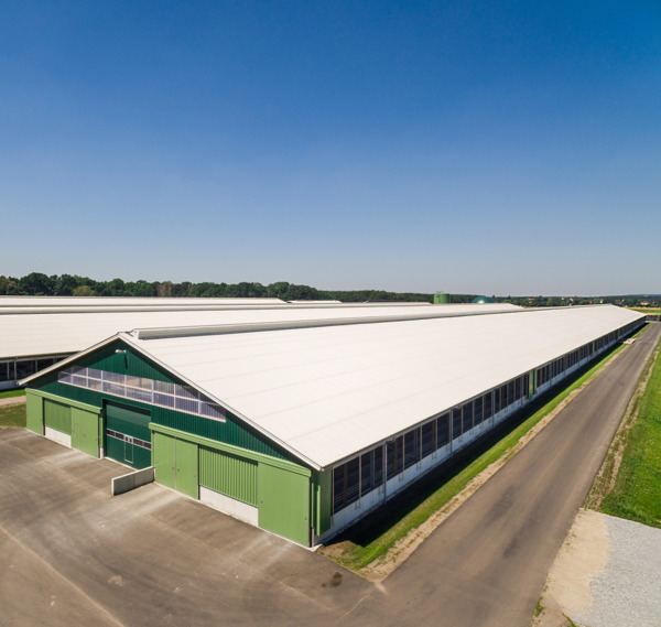 Stallanlage Wiesenau