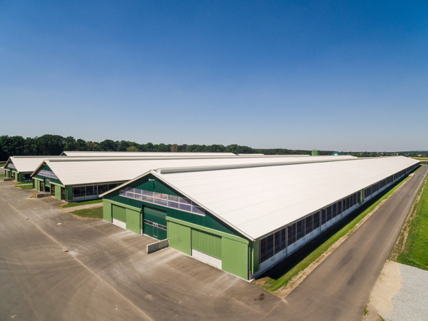 Stallanlage Wiesenau