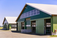 Stallanlage Wiesenau