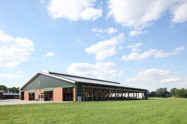 Boxenlaufstall Nordhorn